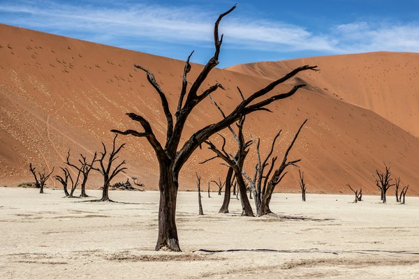 Deadvlei, Namib | Avventure nel Mondo