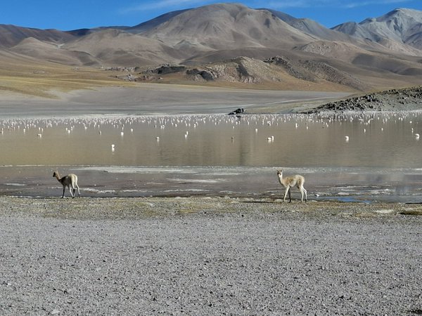 Avventure nel Mondo