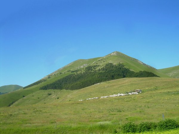 Avventure nel Mondo