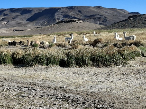 Avventure nel Mondo