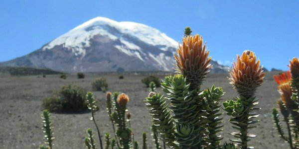 Avventure nel Mondo