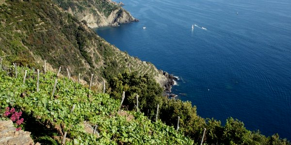 Avventure nel Mondo