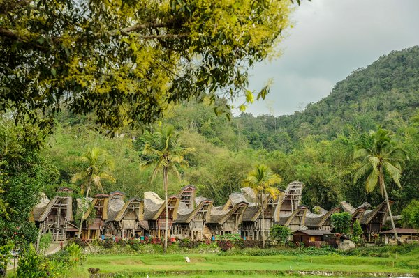 Sulawesi Sulawesi | Avventure nel Mondo
