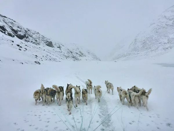 Foto di viaggio
