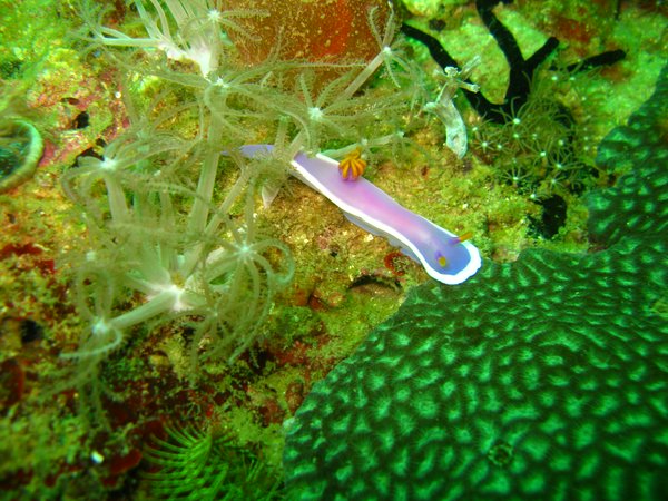 Foto di Maria Luisa Piovanelli