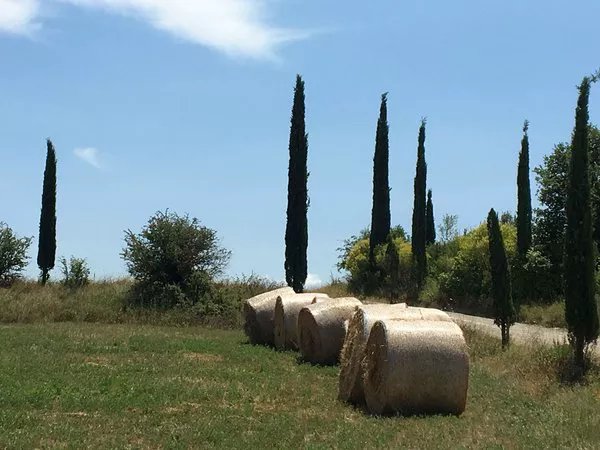 Foto di viaggio