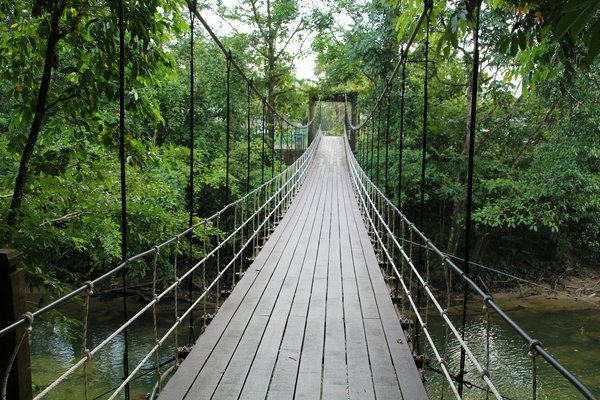 Taman Negara | Avventure nel Mondo