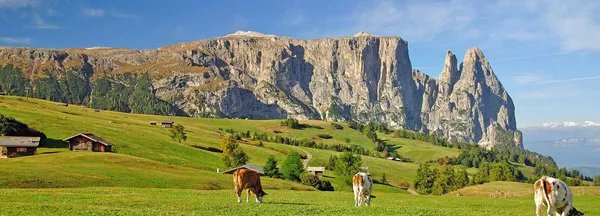 Foto di viaggio