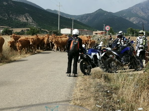 Foto di Ruggero Gallori