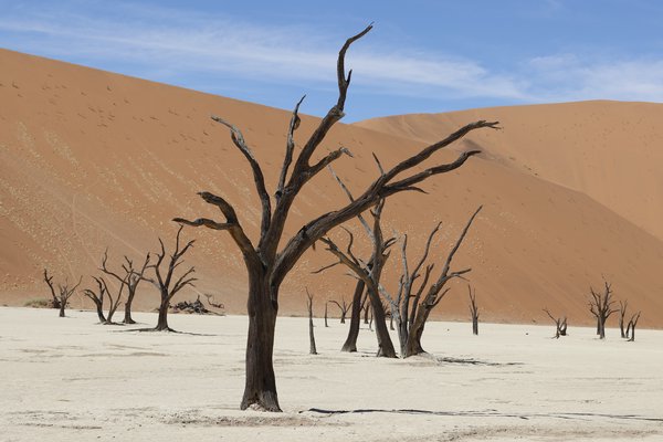 Deadvlei Namibia | Avventure nel Mondo