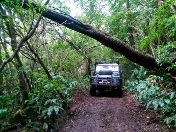 Avventure nel Mondo