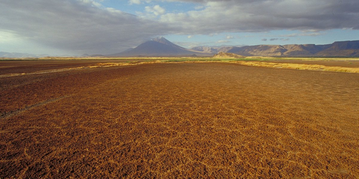 Lago Natron in Tanzania | Avventure nel Mondo