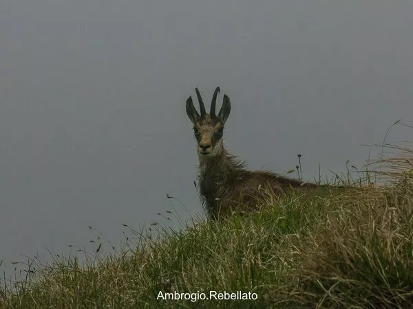 Foto di viaggio