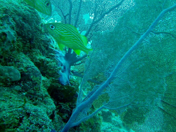 Foto di Maria Luisa Piovanelli
