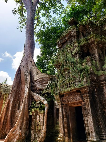 Parco archeologico di Angkor, Ta prohm | Avventure nel Mondo