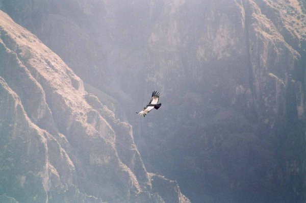 Avventure nel Mondo