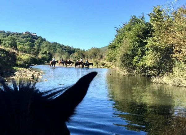 Foto di viaggio