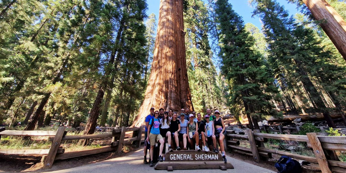 Sequoia National Park Sequoia National Park | Avventure nel Mondo