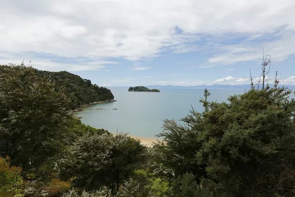 gruppo Caretti - Abel Tasman track