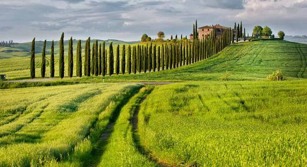 Foto di viaggio