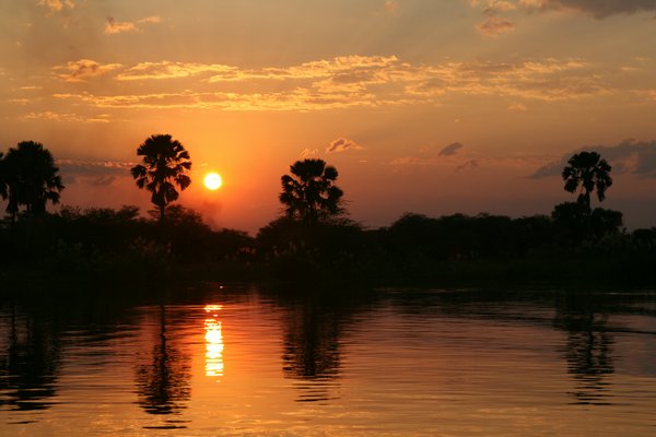 South Luangwa National Park South Luangwa National Park | Avventure nel Mondo