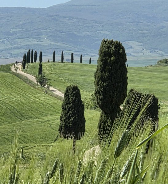 Avventure nel Mondo