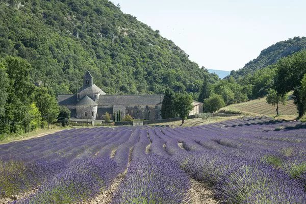Foto di viaggio