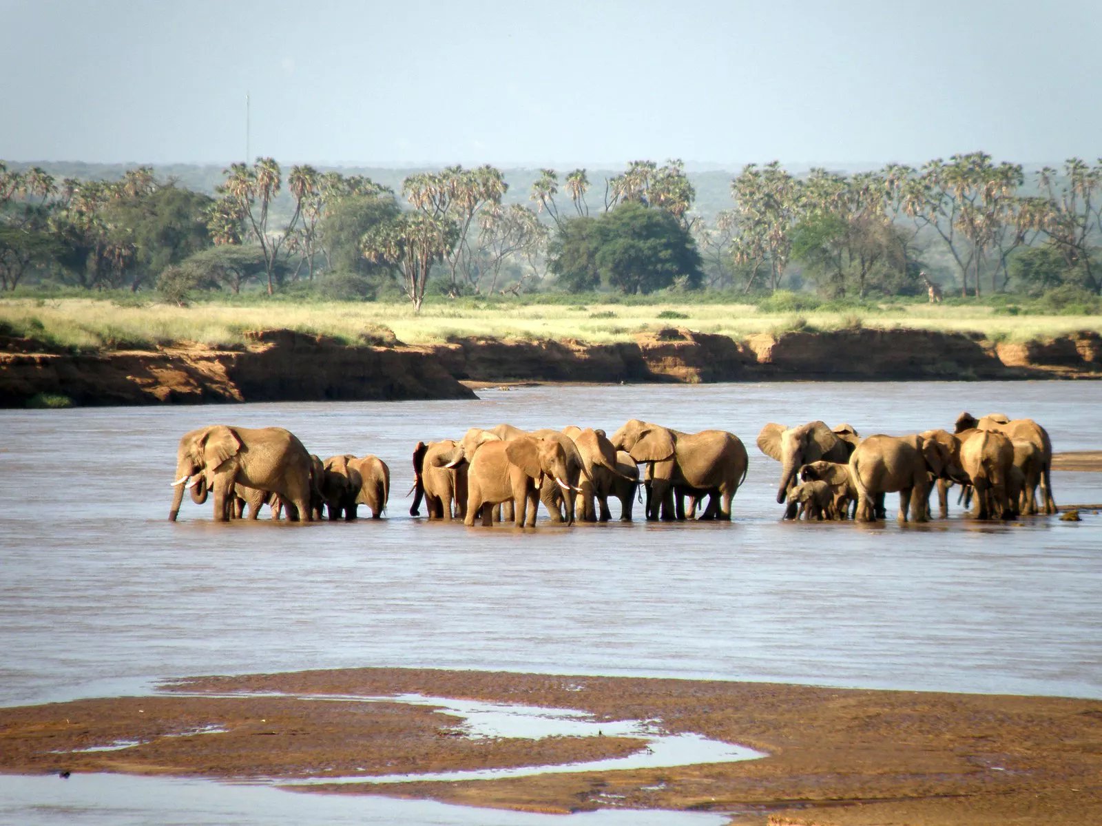 Kenya Tanzania Safari Viaggi Di Gruppo Viaggi Avventure Nel Mondo