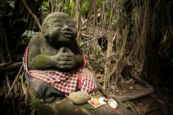 Monkey Forest Monkey Forest | Avventure nel Mondo