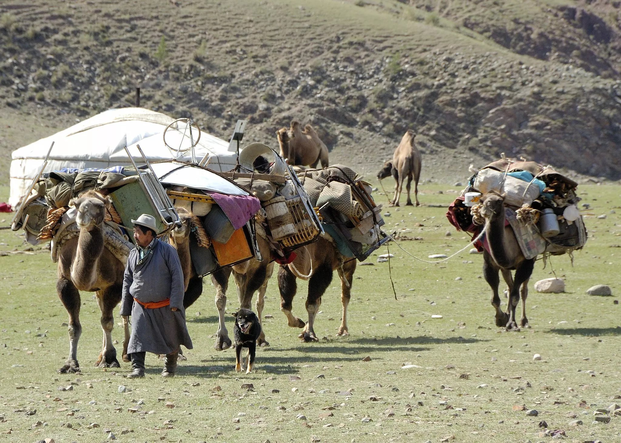 MONGOLIA SOLO FAMILY Avventure nel Mondo