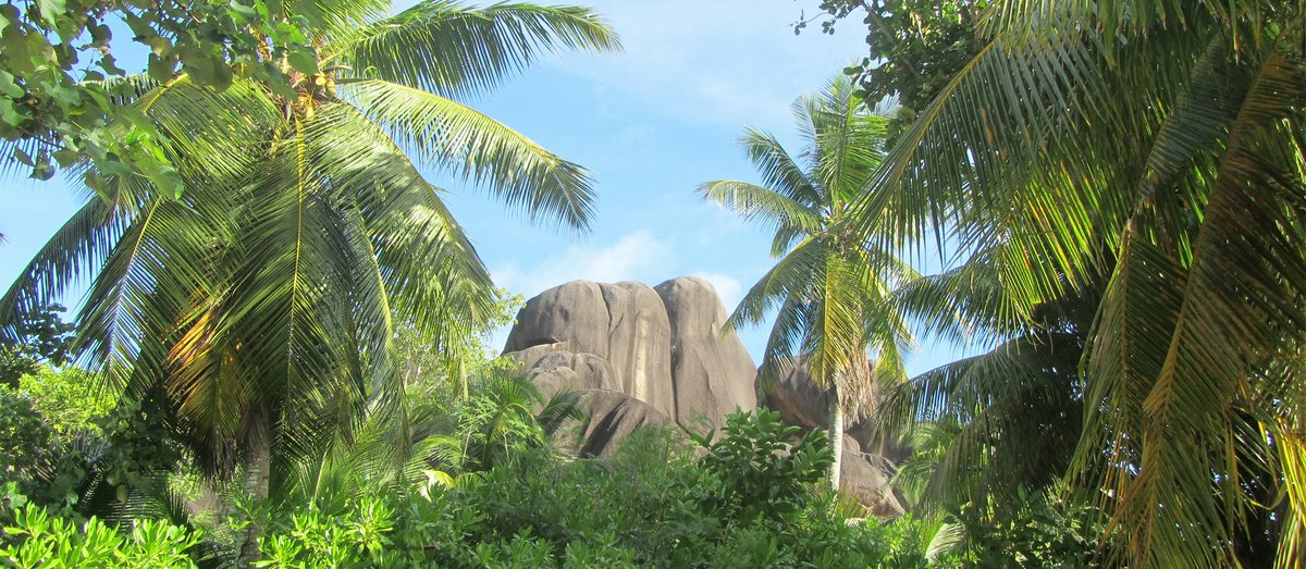 Seychelles natura selvaggia | Avventure nel Mondo