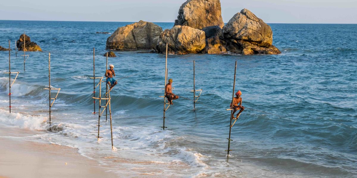 pescatori sui trampoli sri lanka | Avventure nel Mondo