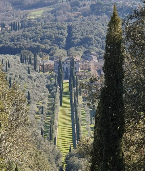 Foto di Marella Favruzzo