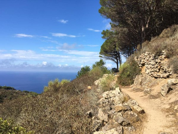 Avventure nel Mondo