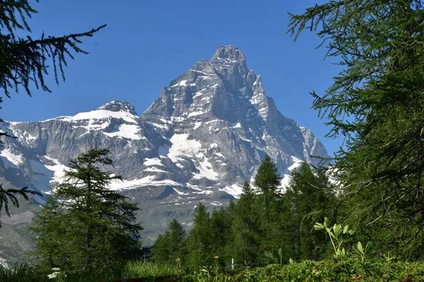 Foto di Alain Carlo Ferrario