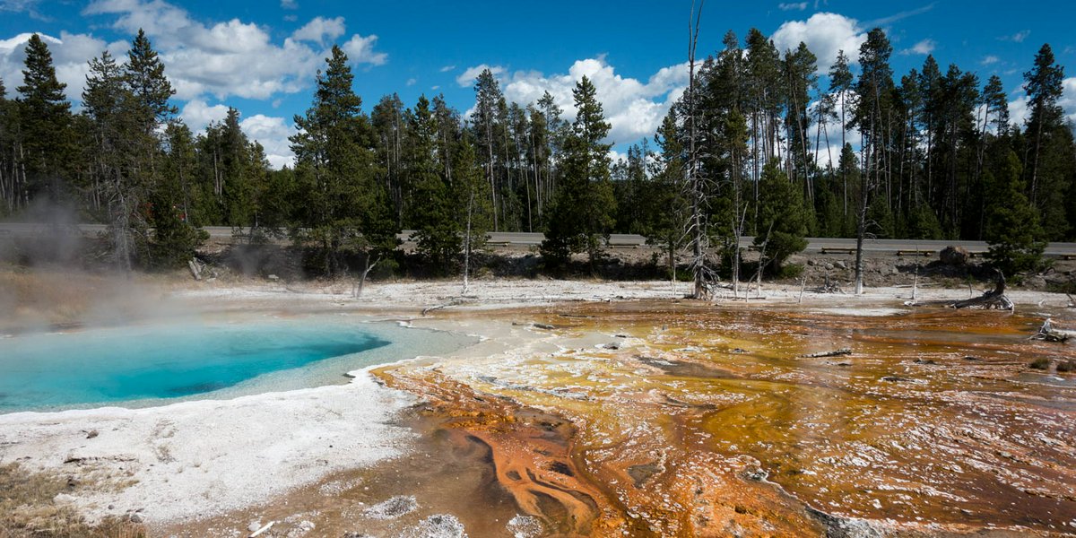Yellowstone National Park  | Avventure nel Mondo
