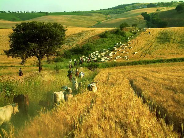 Foto di viaggio