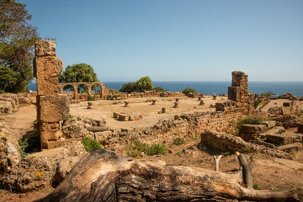 Tipaza | Avventure nel Mondo