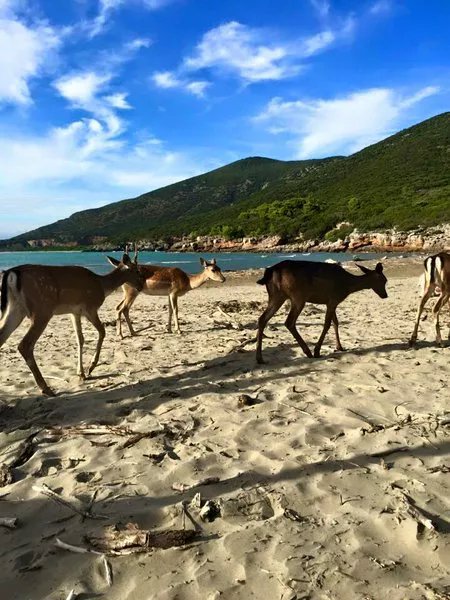 Foto di viaggio