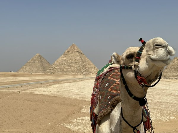 Piana di Giza Piana di Giza | Avventure nel Mondo